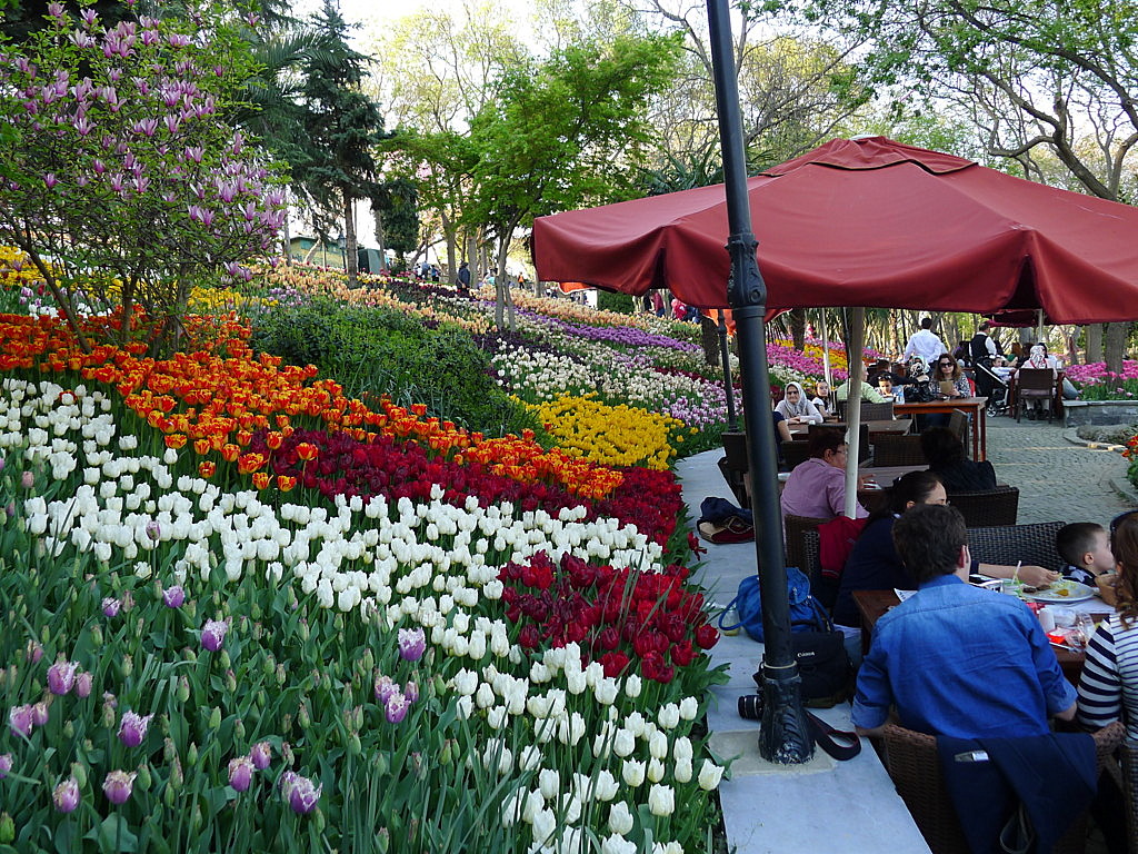 l Tulip time in Istanbul